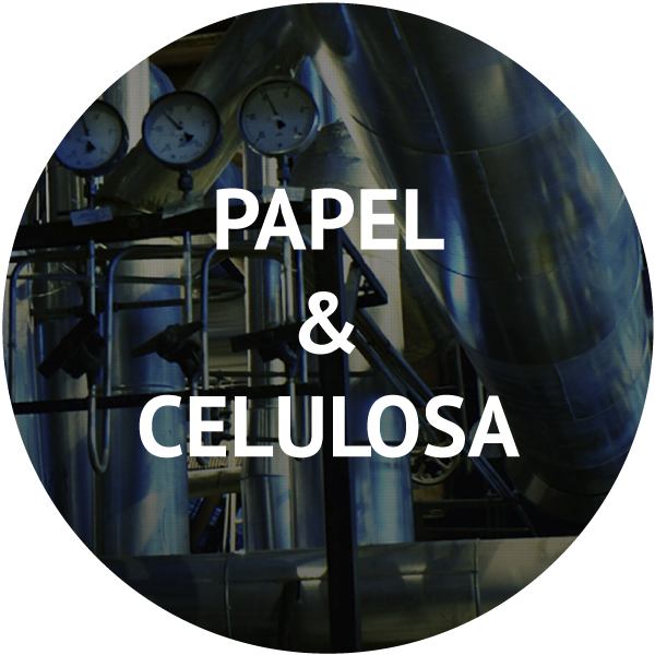 papel-celulosa